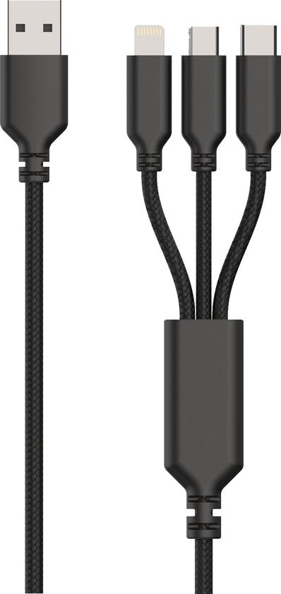 2GO auto-oplaadset met 3 in 1 oplaadkabel 12/24V