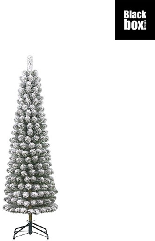 Black Box Trees Charlton Pilar Kerstboom – 185 cm, 280 takken – foto 1 van 4