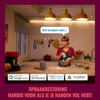 WiZ Slimme stekker type F – Wi-Fi, Matter gecertificeerd – foto 4 van 4