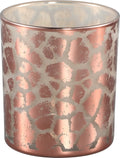 PTMD - Theelichthouder - Glas - Desiree -10cm