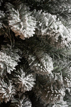 Black Box Trees Charlton Pilar Kerstboom – 185 cm, 280 takken – foto 3 van 4