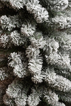 Black Box Trees Charlton Pilar Kerstboom – 185 cm, 280 takken – foto 2 van 4